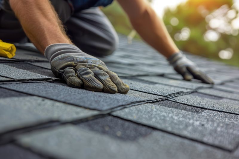 Skilled Roofing Professionals